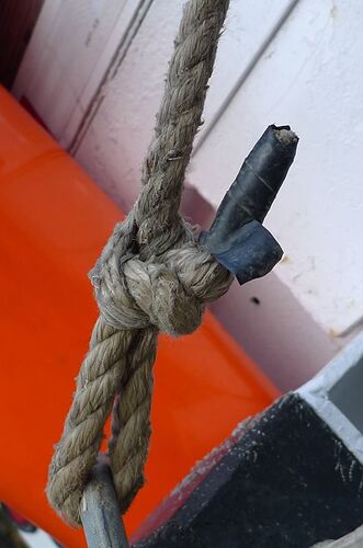 knots_in_the_wild-M800-2.jpg