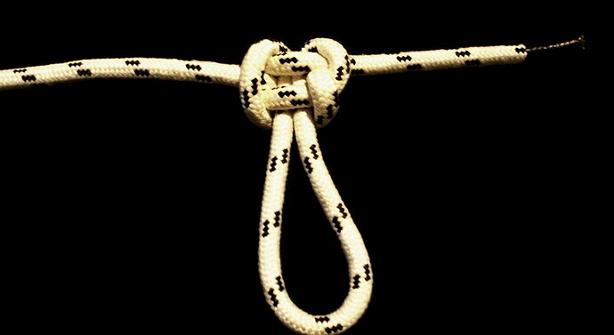 enhanced harness _back.JPG