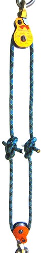 Test-protocol_Knots