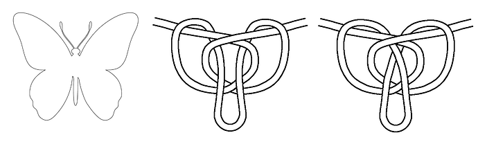 Butterfly Knot and Image 3