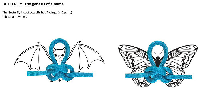 Butterfly name
