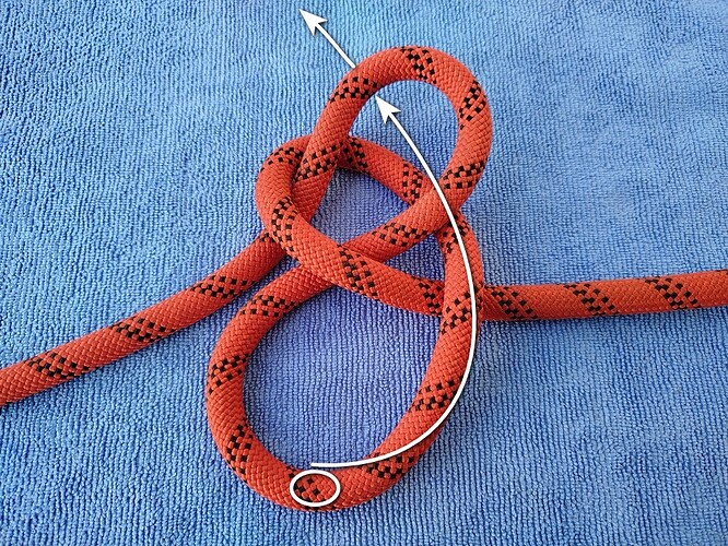 central bight_through left bight