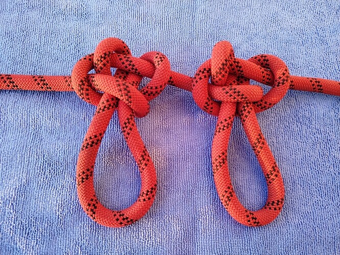 Bear loop comparison_back