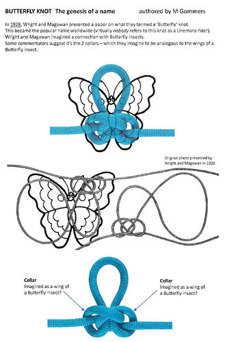 Butterfly name_genesis