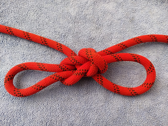Butterfly_derived_bwl_double loop_front