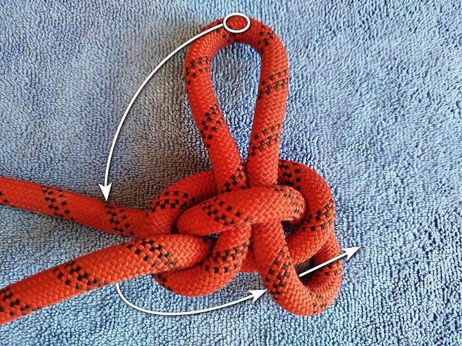 Eye up though the nipping loop