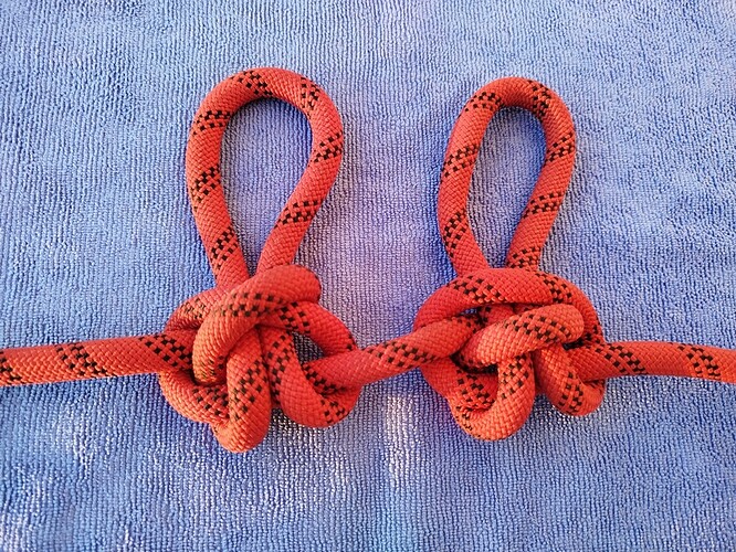 Bear loop comparison_front