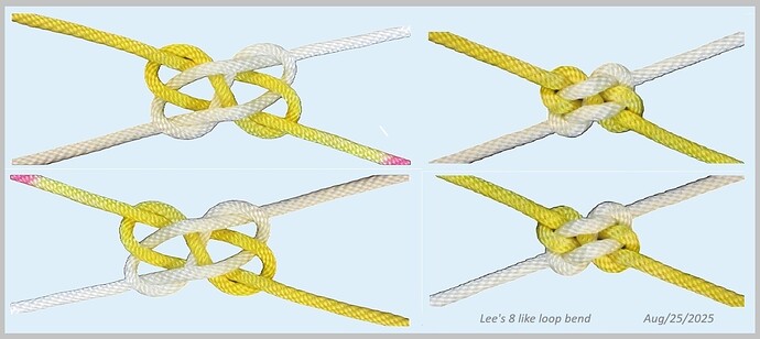 Lee's 8 like loop bend