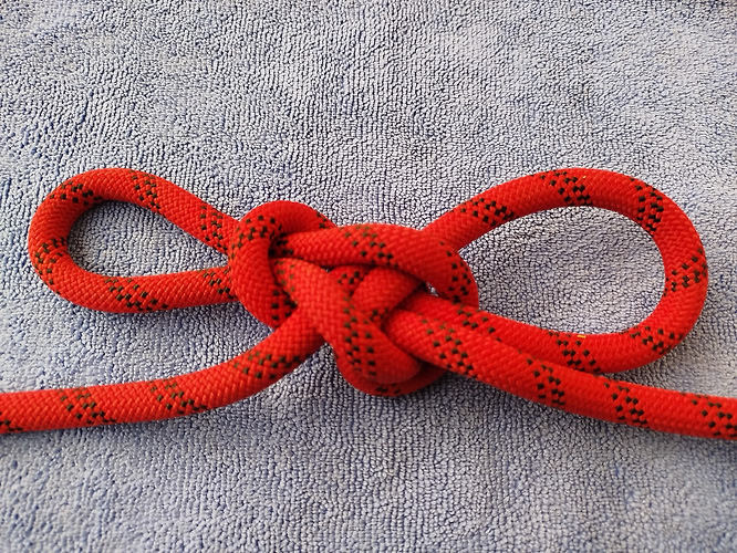 Butterfly_derived_bwl_double loop_back