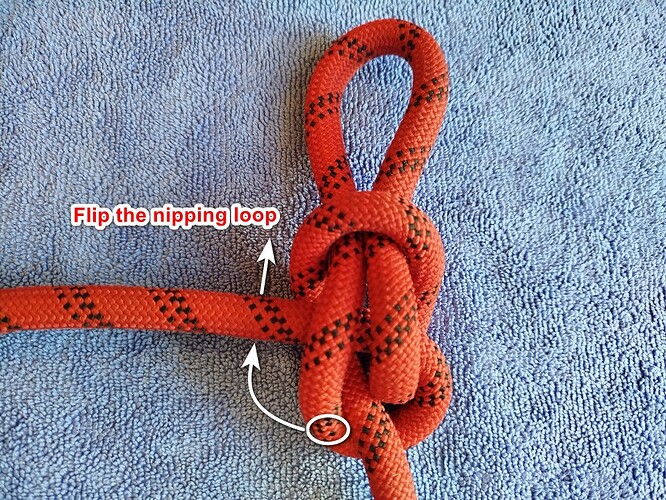 flipping nipping loop of flash_bwl