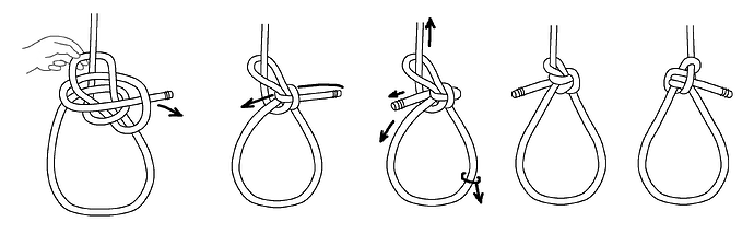 Bowline, Overhand Noose, Alston tuck