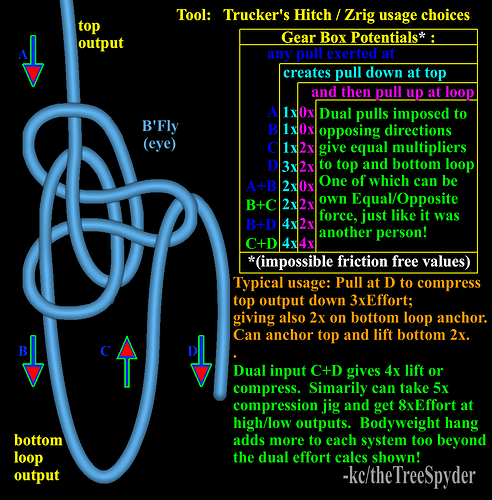More-power-from-truckers-hitch-zrig-from-dual-input-of-1-person