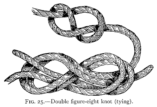 fig8.gif