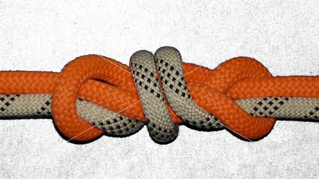 2 coils-2 collars midline bend-loop (fig.9)(top view).jpg