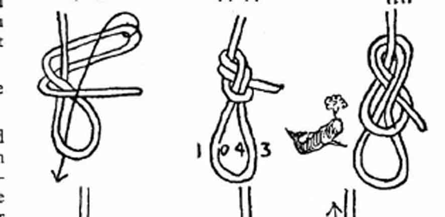 Two Loop Figure Eight Canadian eight or two loops figure eight. - Practical Knots - IGKT Forum