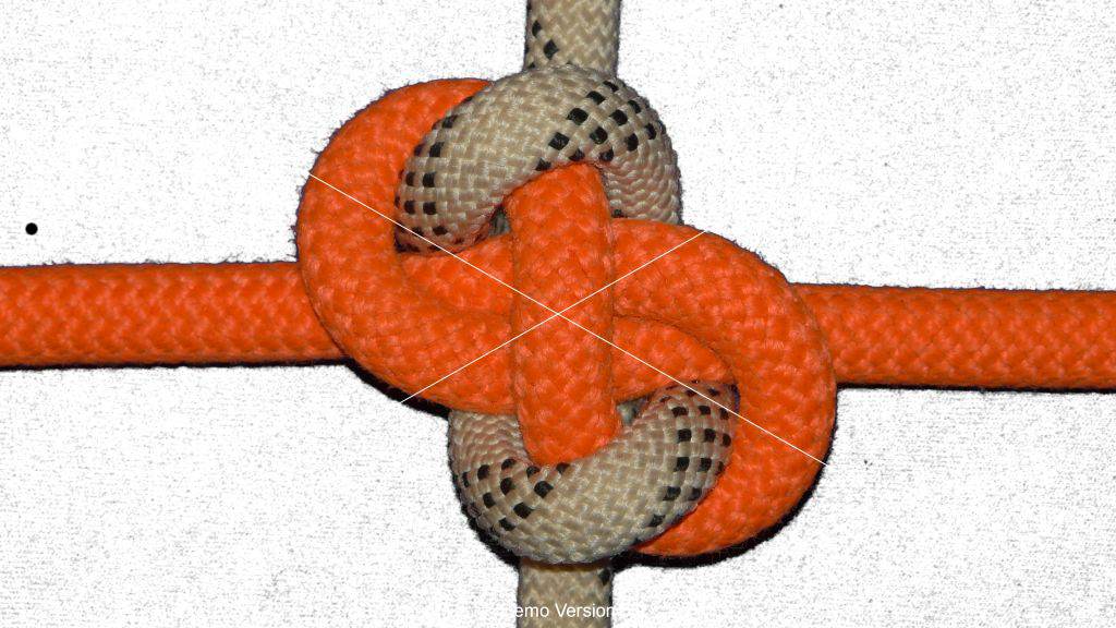 Constrictor-Strangle midline bend (top view).jpg