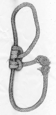 knot001.jpg