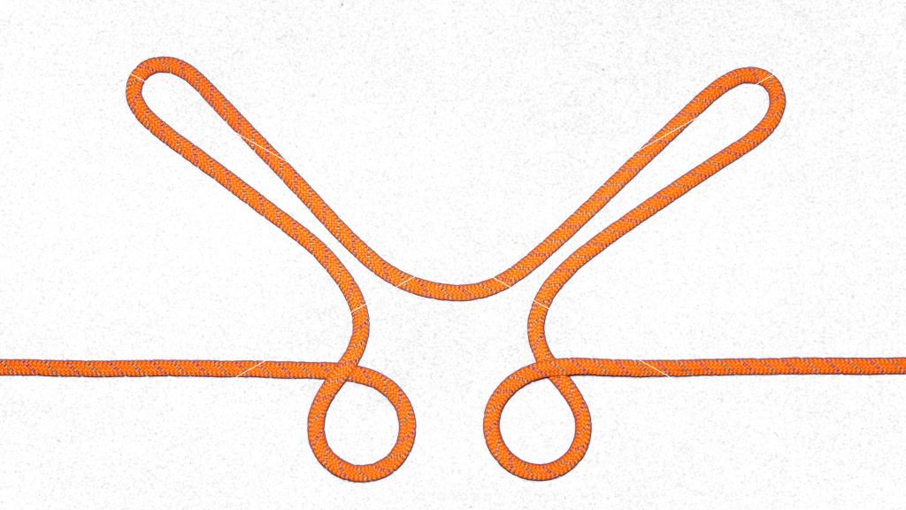 eyes and ears - midline double loop base.jpg