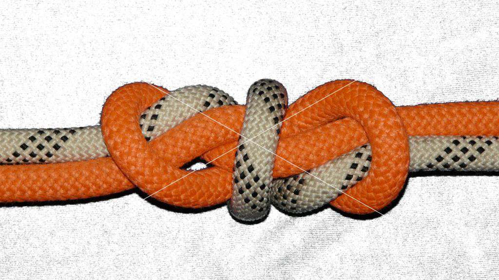 2 coils-2 collars midline bend-loop (dos)(bottom view).jpg
