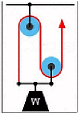 Trucker hitch visualized.jpg