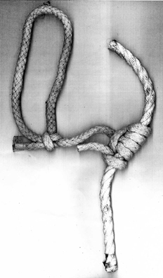 knot002.jpg