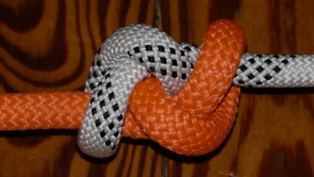 Double Harness bend (short)(top view).JPG