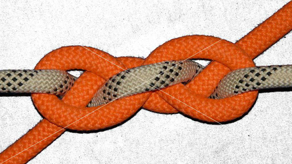 Strangle 1 midline bend (bottom view).jpg