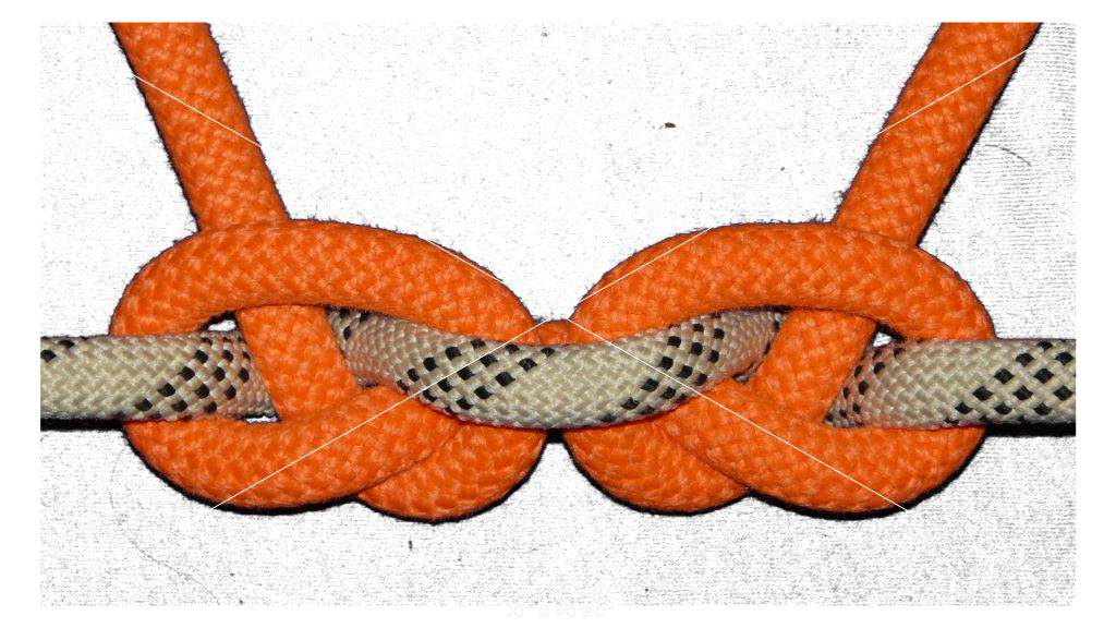 Two overhand knots (bottom view).jpg