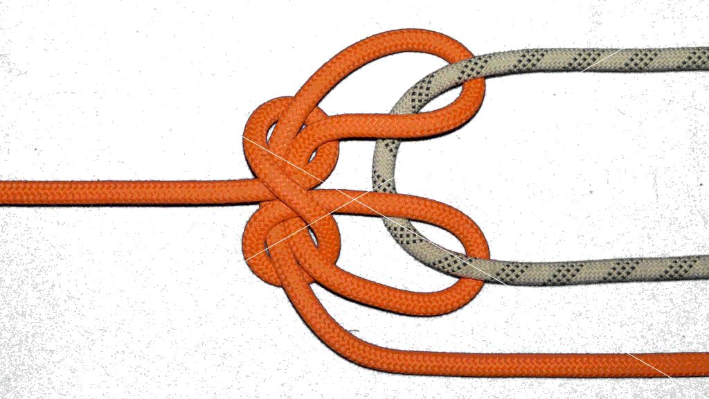 ABoK#1148-as a double Trucker s hitch loop (loose knot).png.jpg