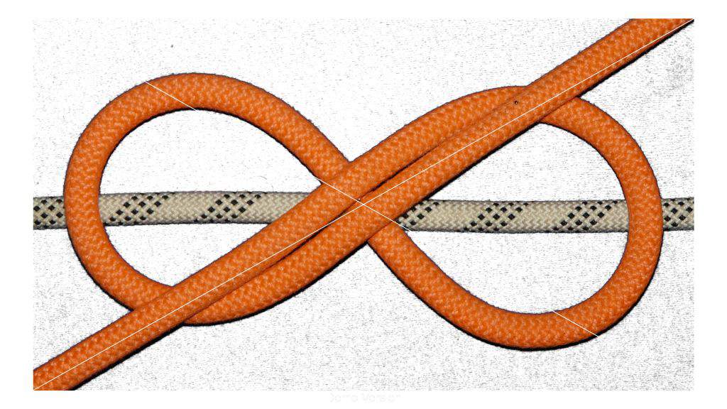 Pretzel 2 midline bend (first step).jpg