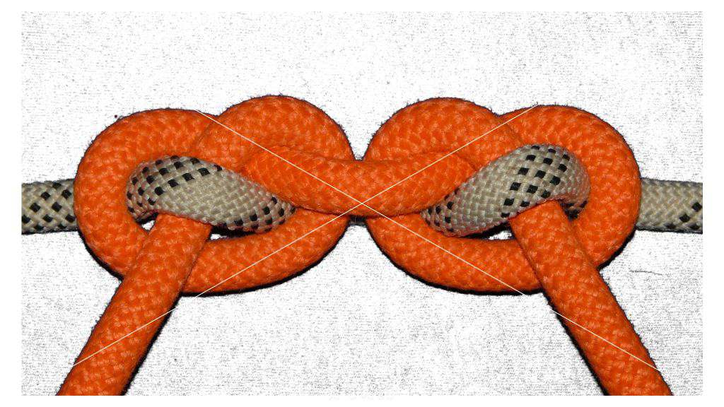 Two overhand knots (top view).jpg