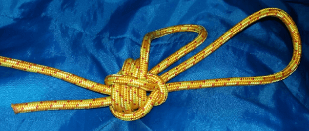 noeud-abeille_bee-knot_3.png