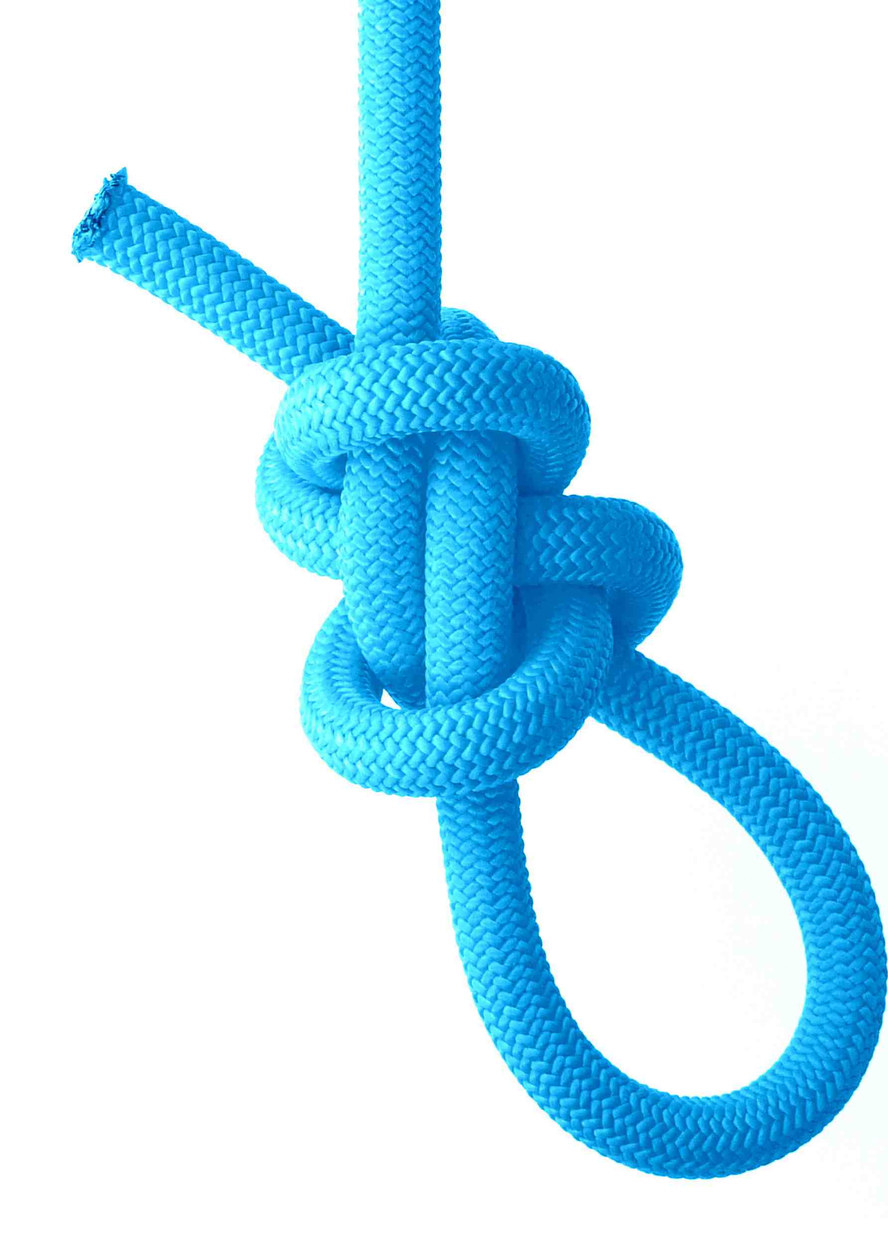 Tweedledee Bowline ( Detail view .JPG