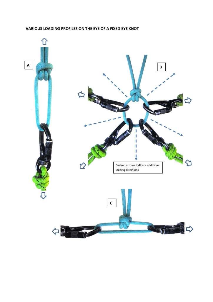 Loading profiles_eye knot.jpg