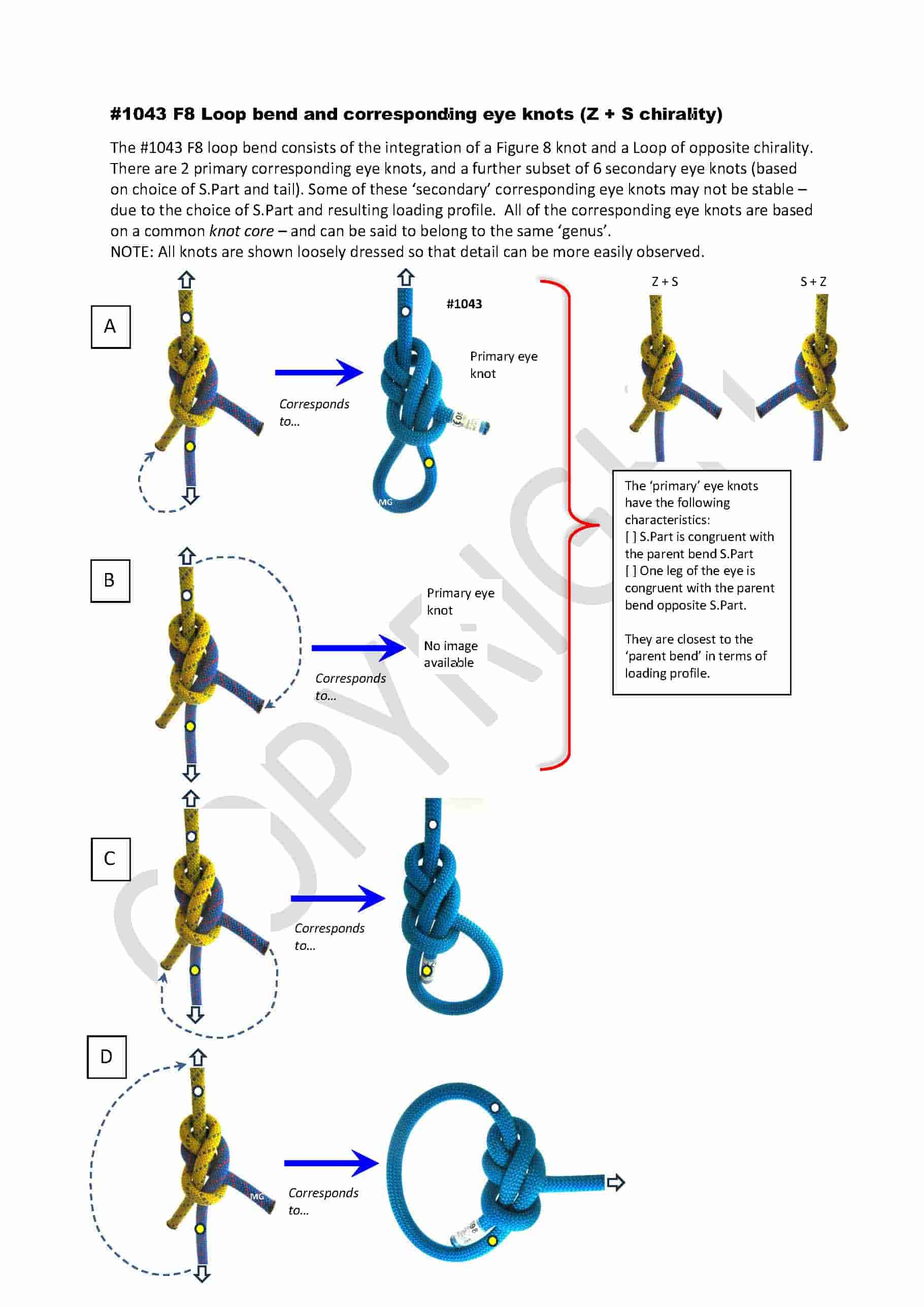 F8-Loop-bend_1043_corresponding eye knots-min.jpg