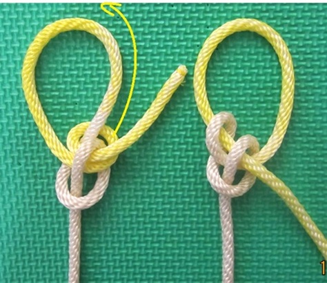 Abok # 1033 Transformation.JPG