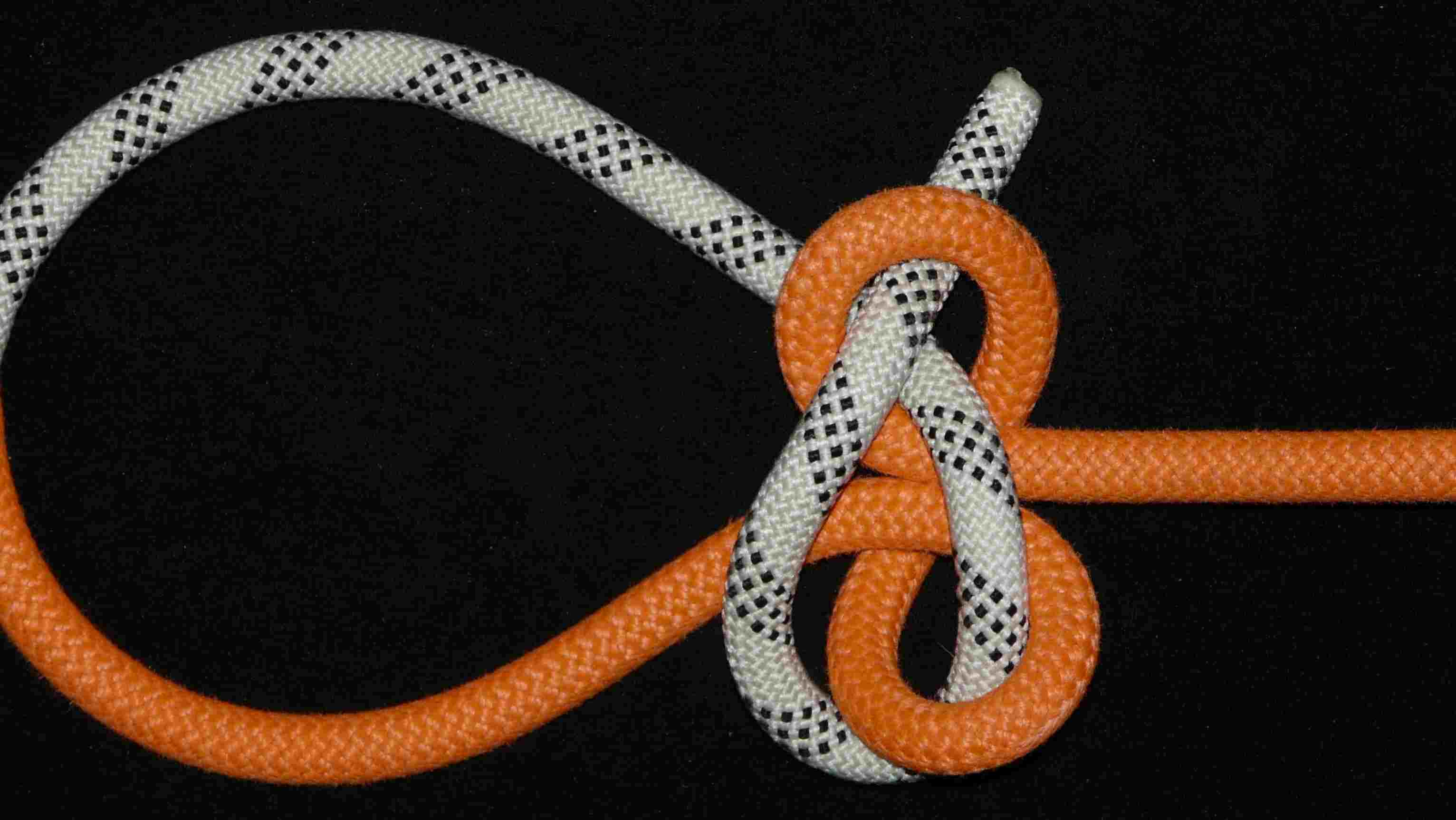 Rev. Buntline loop (back view).JPG