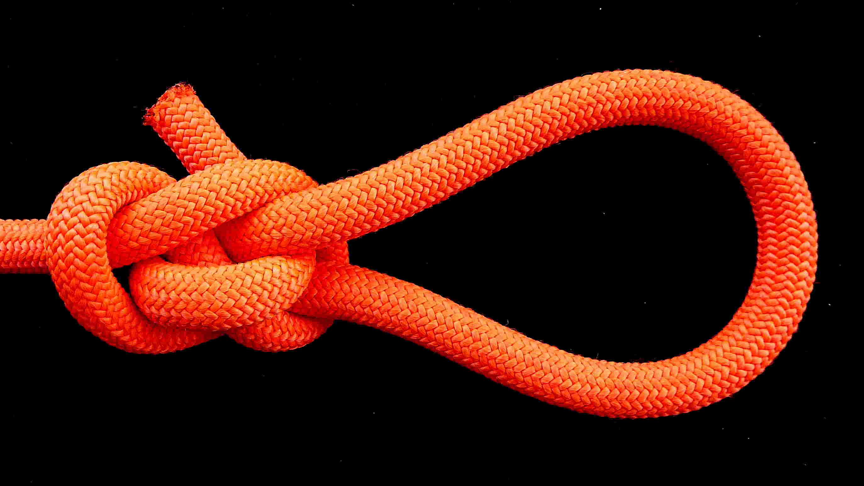 TIB fig.8 based loop (2).JPG