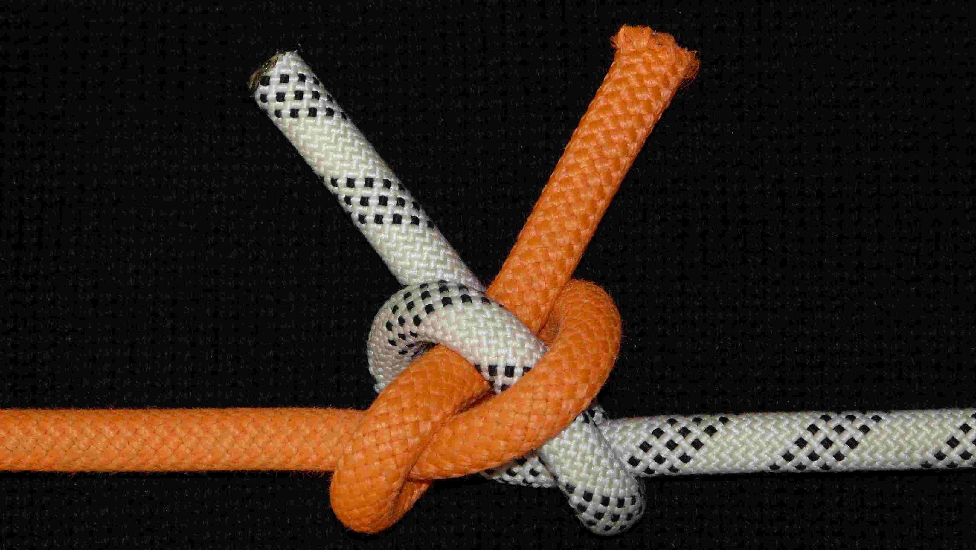 Carrick bend X (back view).JPG