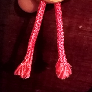 2024tassels.jpg