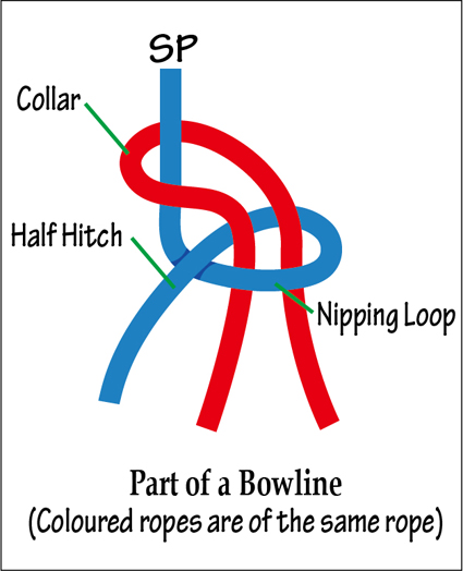 HalfHitchBowline.jpg