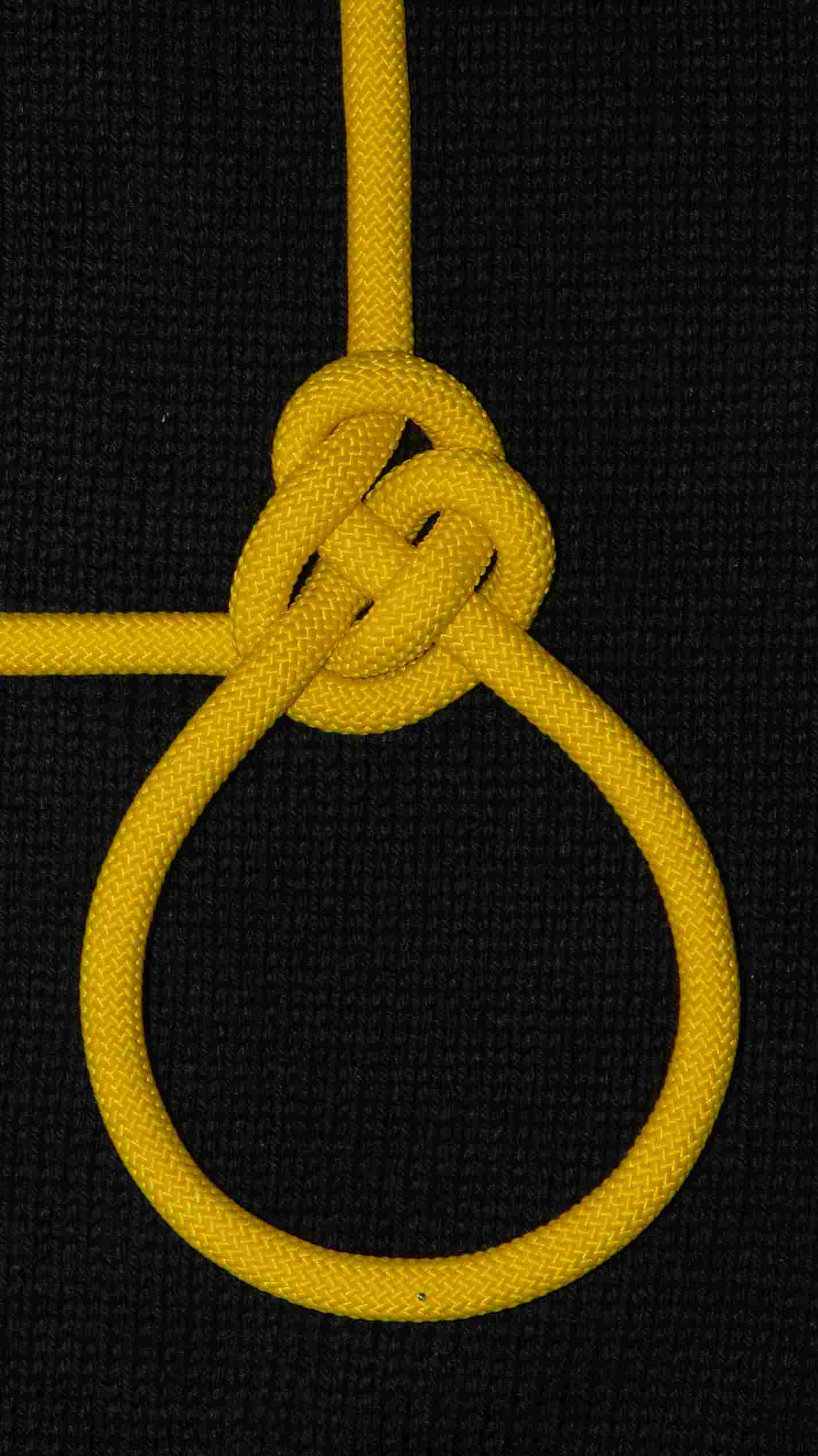 Right Angles TIB loop ( front view ).JPG