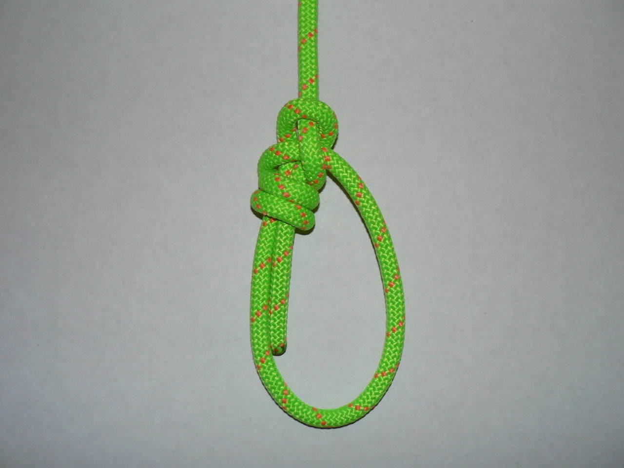 Tresse Bowline - Coiled S.Part (rear view).jpg