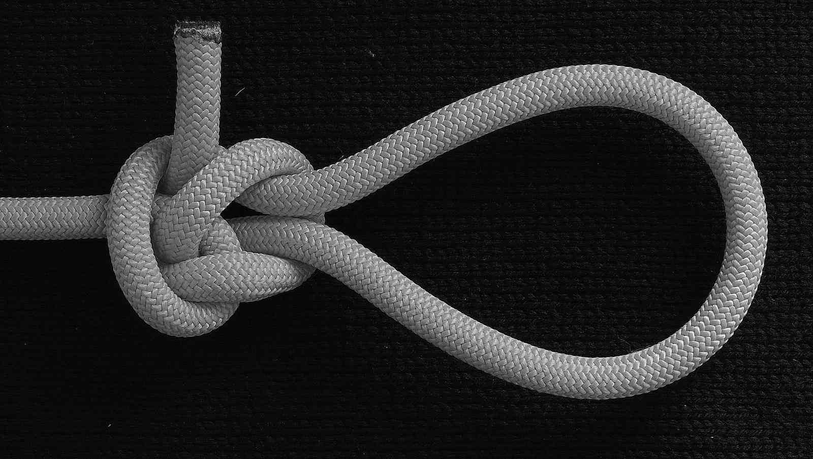 Luca s crossing knot TIB loop (front view)(B&W).JPG