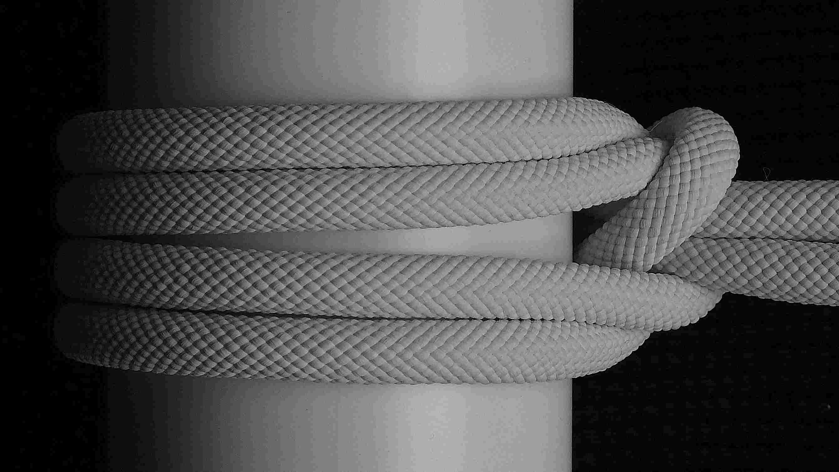 ( bottom view )(B&W).JPG