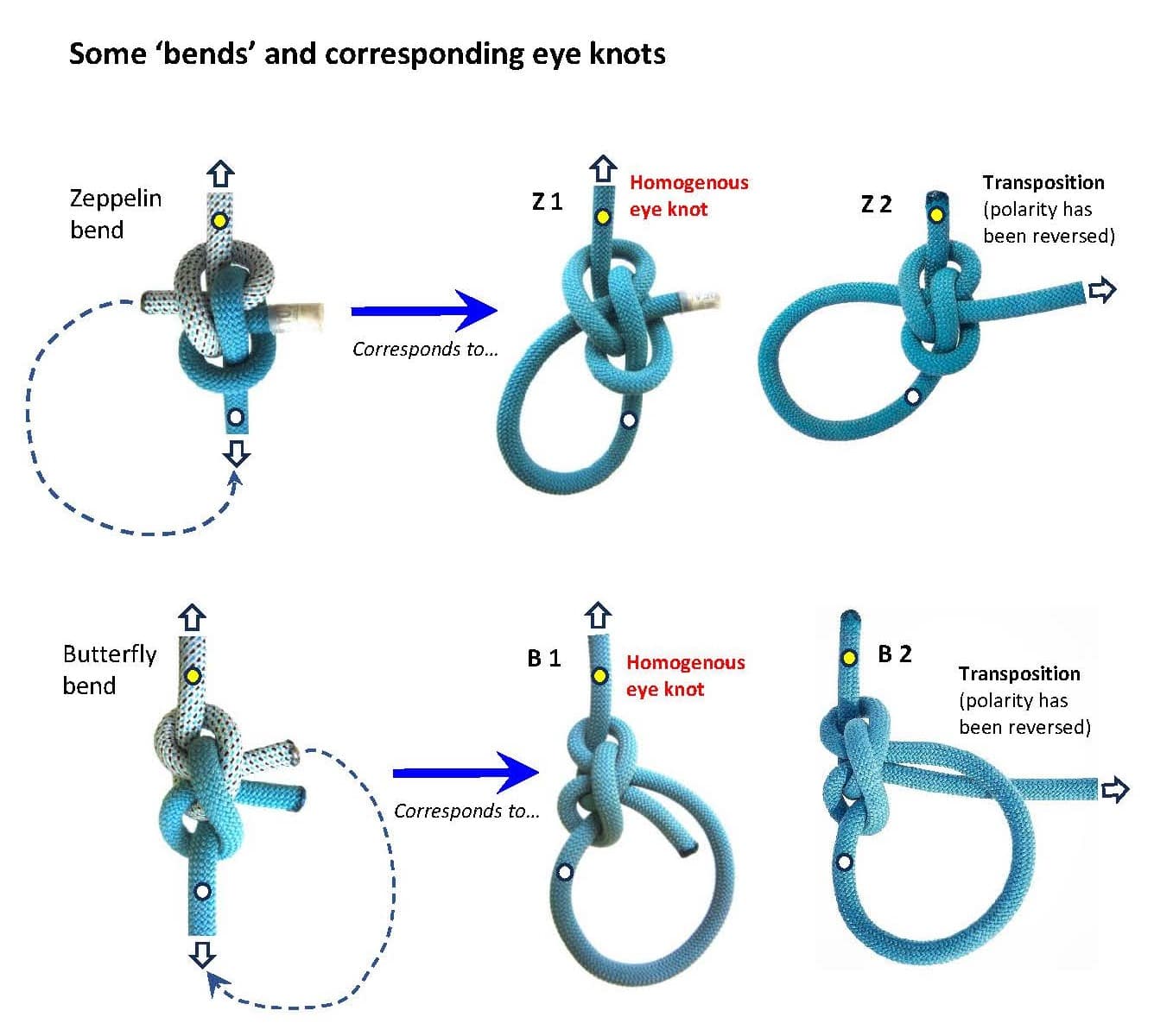 Bends_Transpositions_WEB.jpg