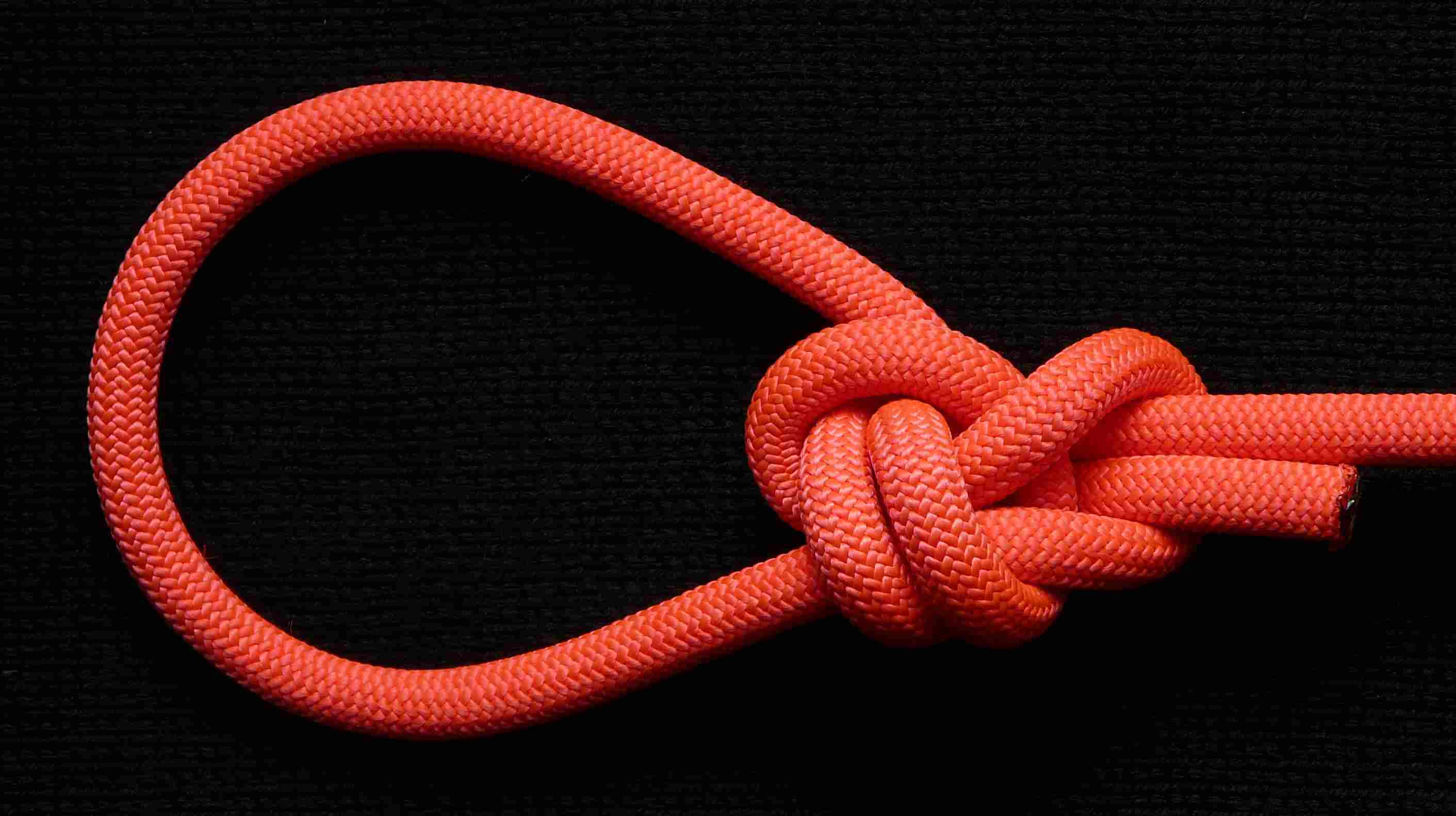 Single bowline on the bight (front view).JPG