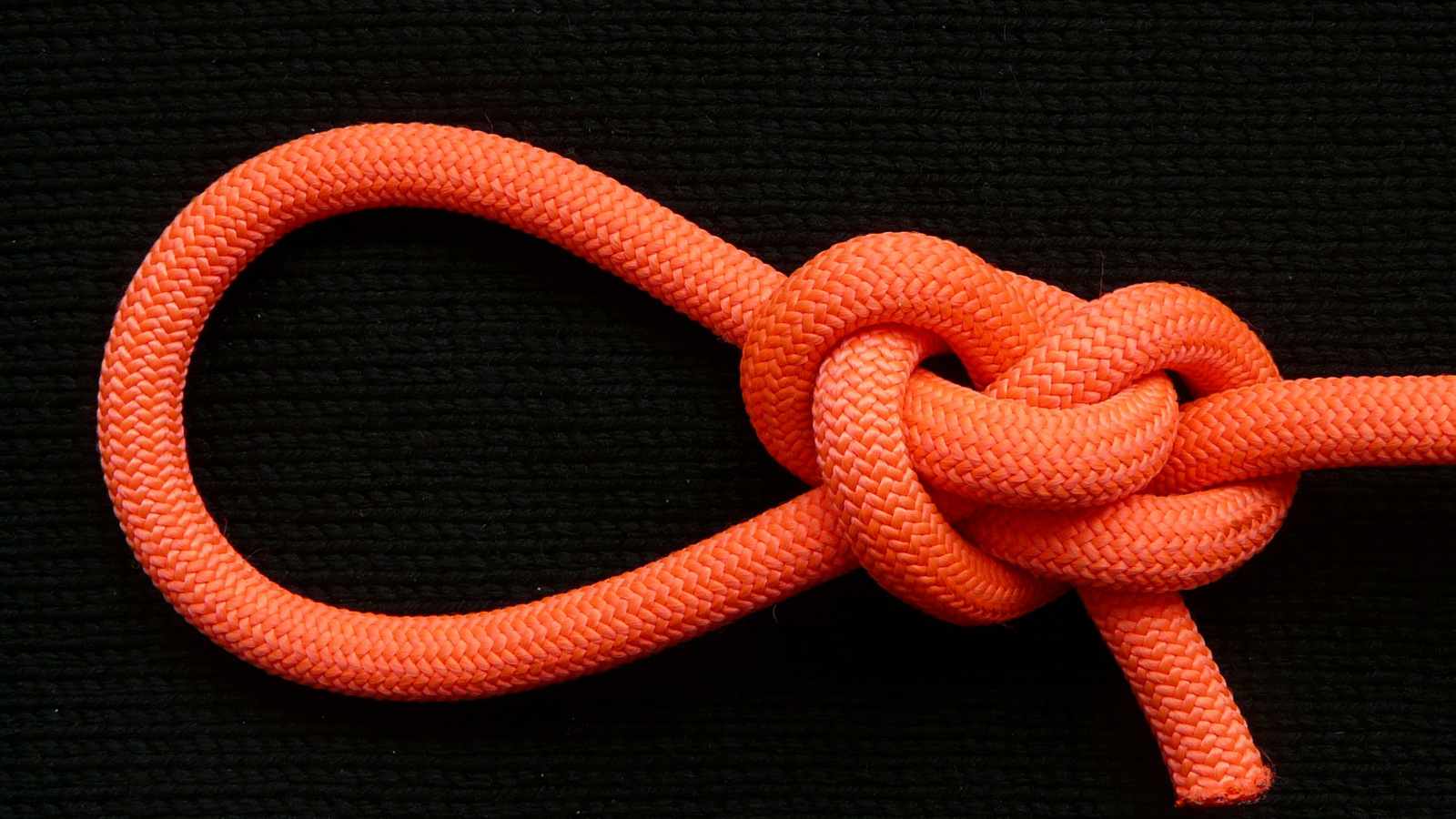 Lee s Pretzel collar, -shaped loop (2).JPG