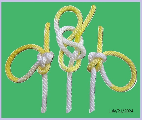Overhand Knot Bowline (#1034 half).JPG