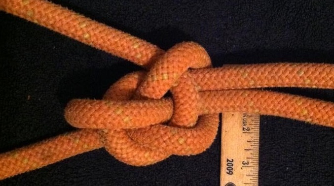 Black Cow ( first, non-TIB version ).JPG